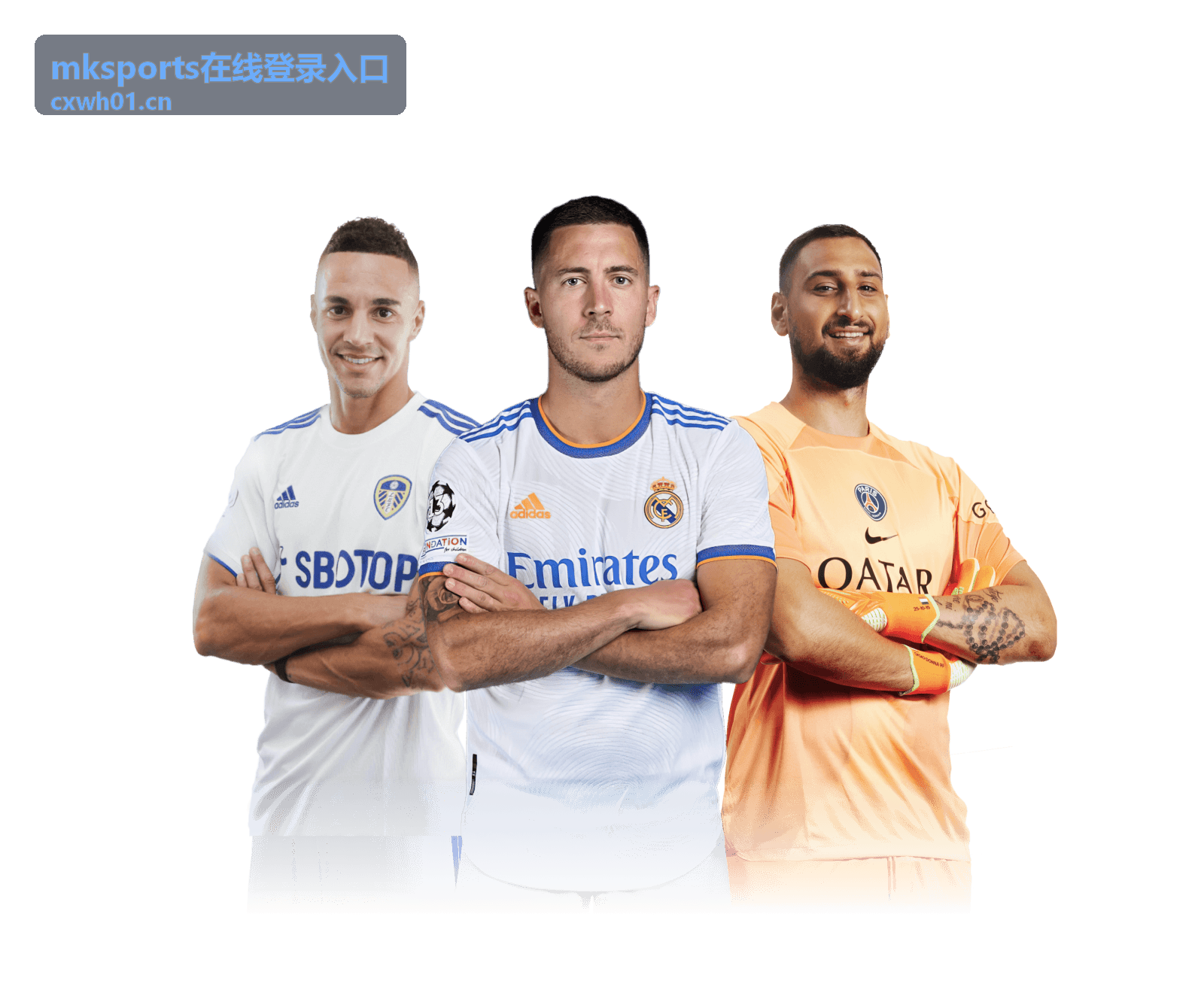 mksports在线登录入口账号安全主题配图