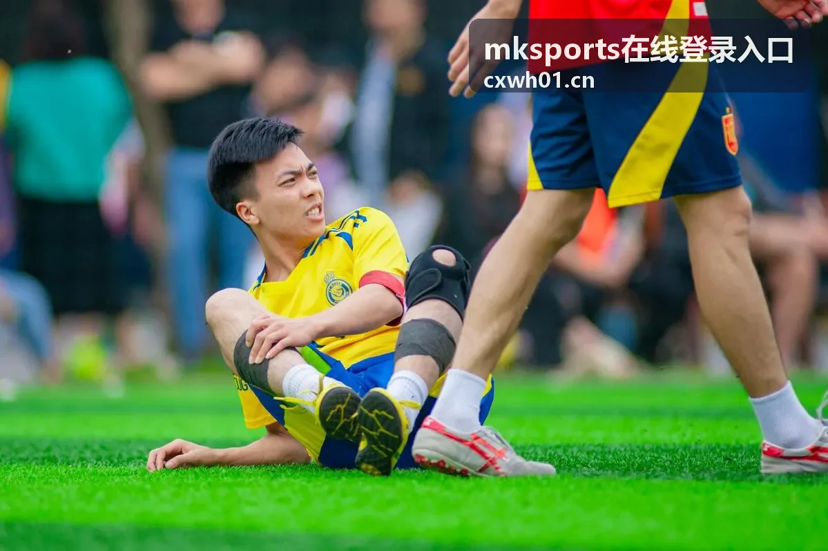 mksports在线登录入口常见问题主题配图